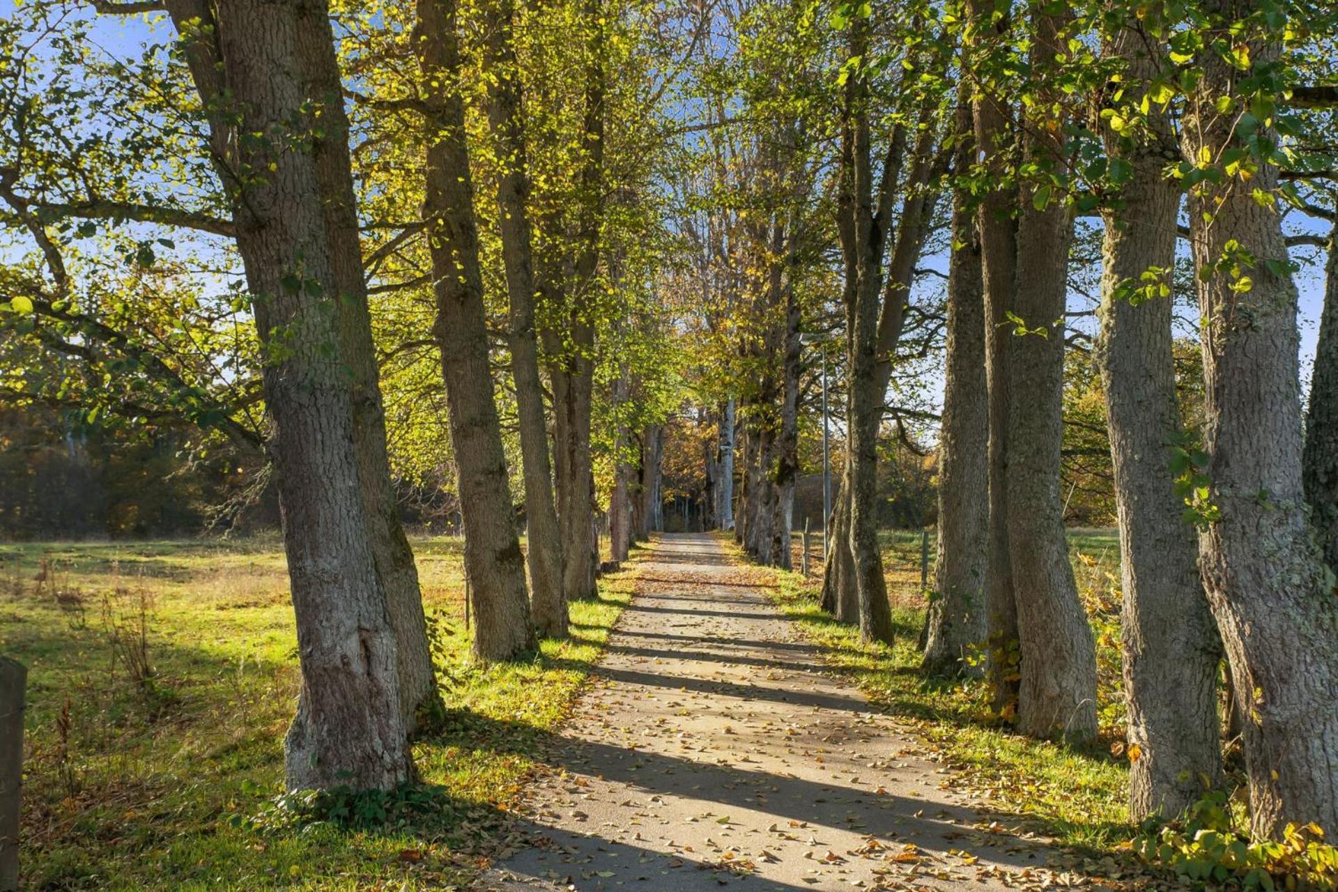 Grimsnas Herrgard Ljuder (Kronoberg) Kültér fotó